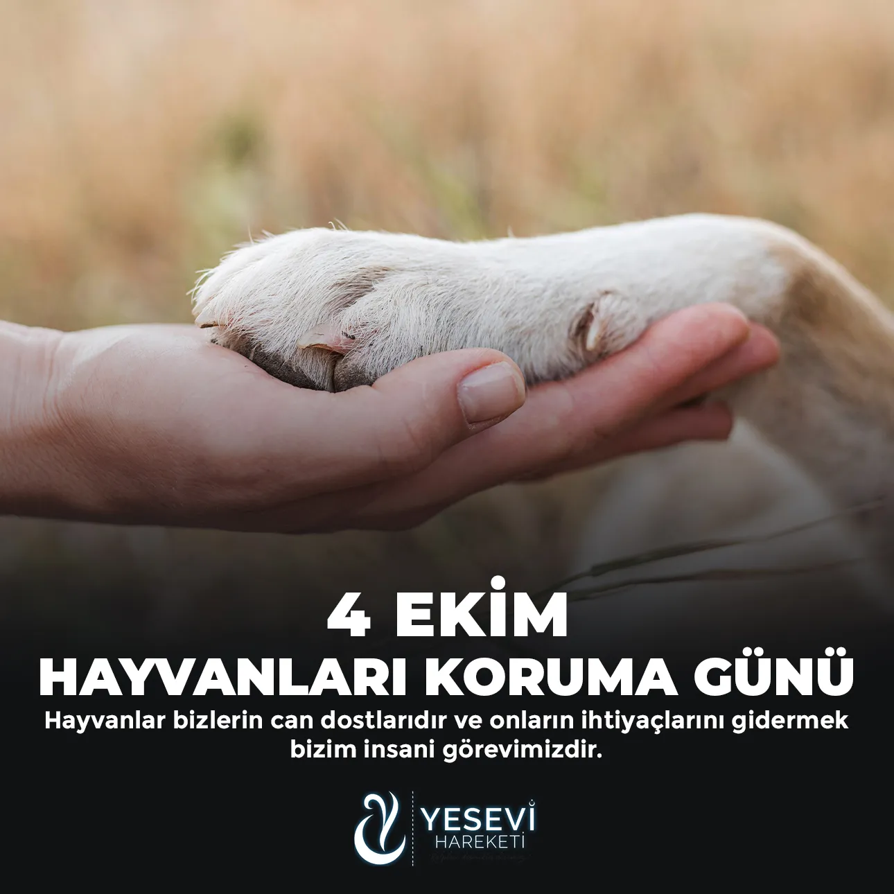 4 EKİM HAYVANLARI KORUMA GÜNÜ